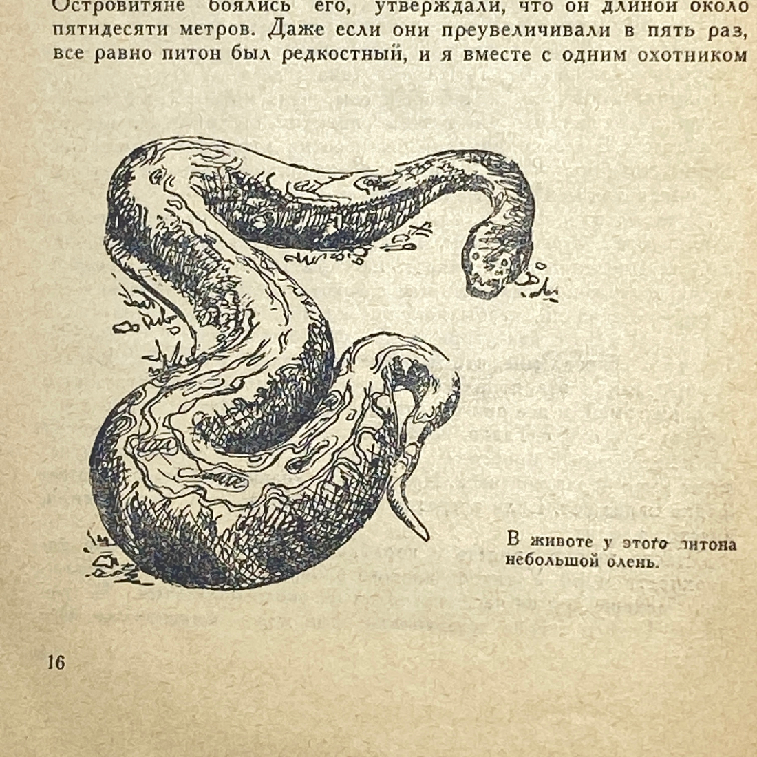 "Змеи-гиганты и страшные ящеры" СССР книга. Картинка 6